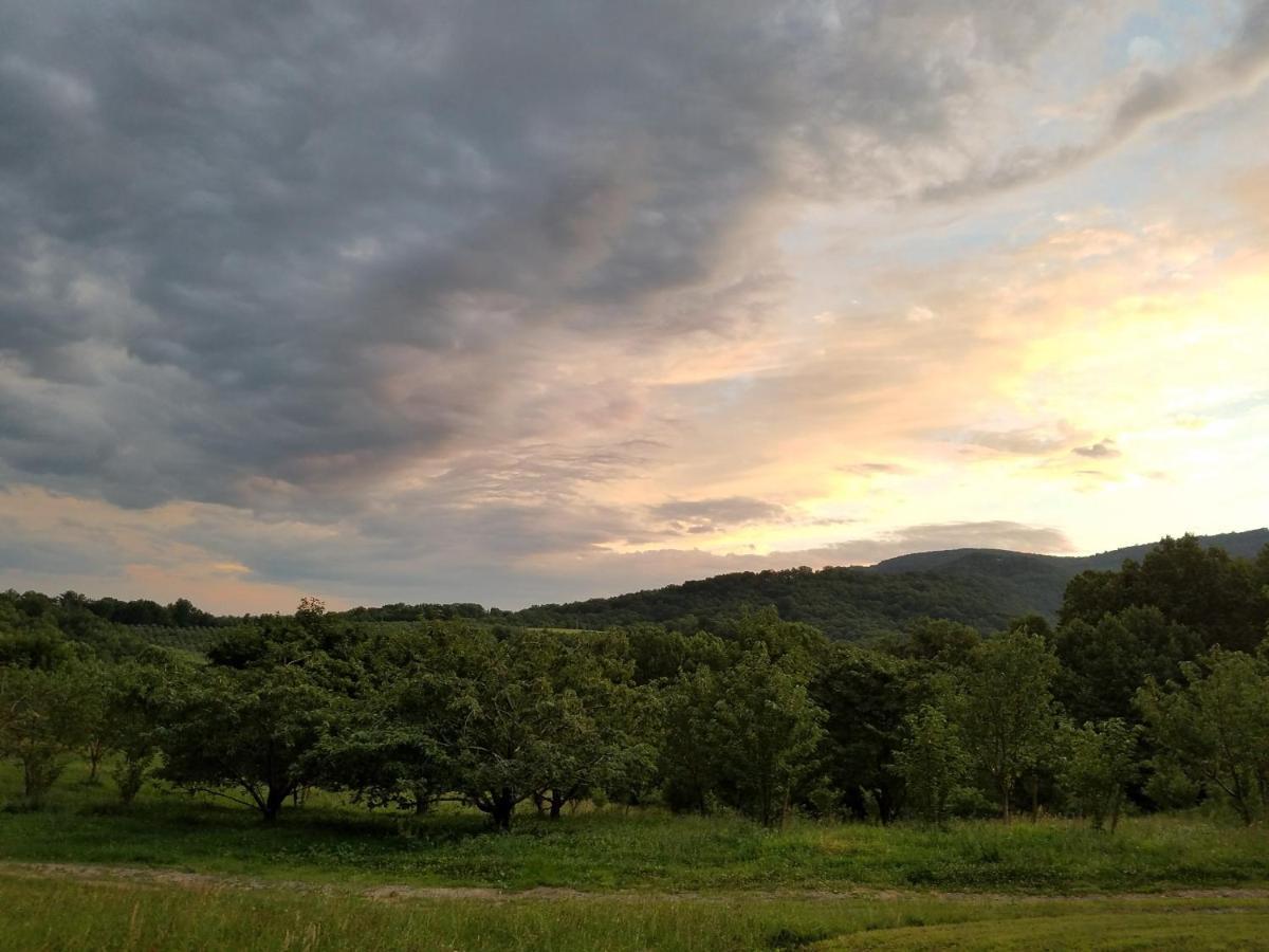 Blue Ridge Manor Bed And Breakfast Fancy Gap 외부 사진